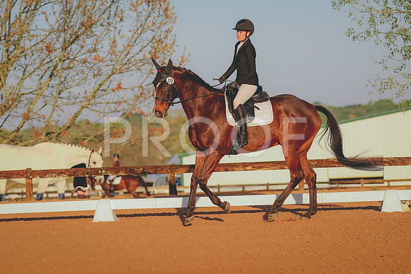 BYR_0852
