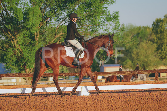 BYR_0941