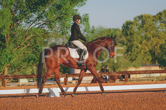 BYR_0956