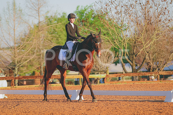 BYR_0979