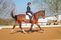 BYR_5401