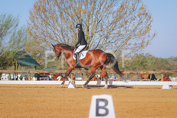 BYR_0157