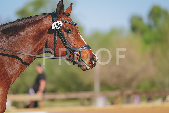 BYR_0363