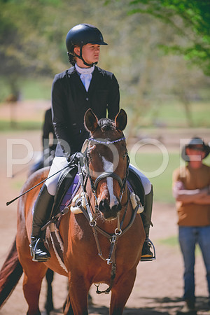 DSC_0537