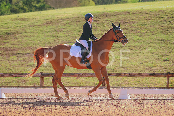 BYR_0766A