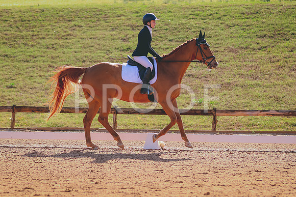 BYR_0790