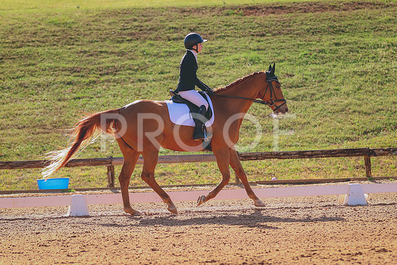 BYR_0877