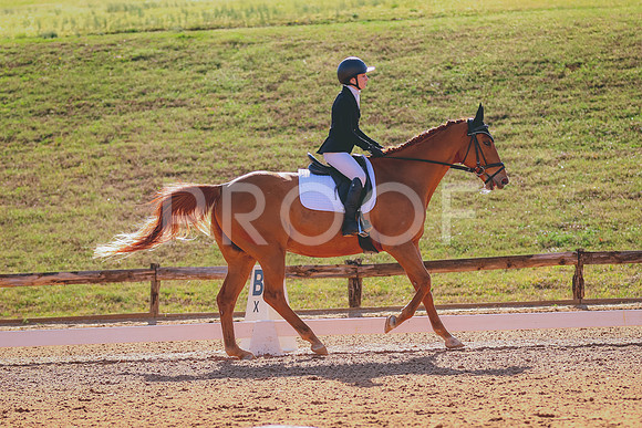BYR_0858