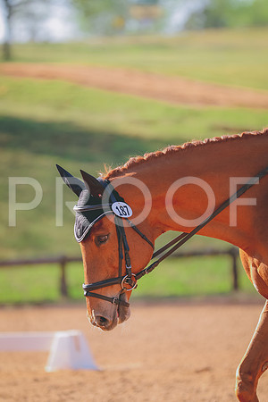 BYR_0931
