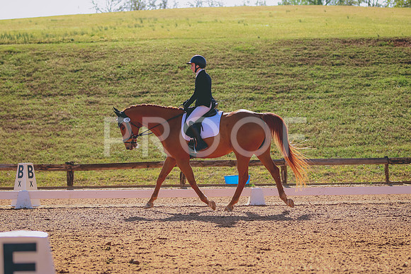 BYR_0950