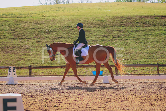 BYR_0951