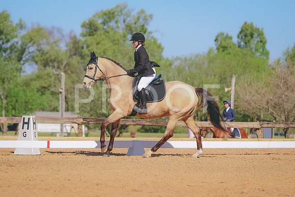 BYR_3617