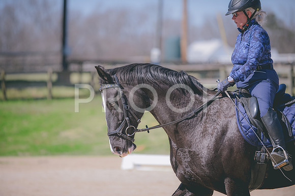 JJS_2010