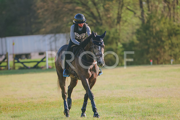 BYR_0229