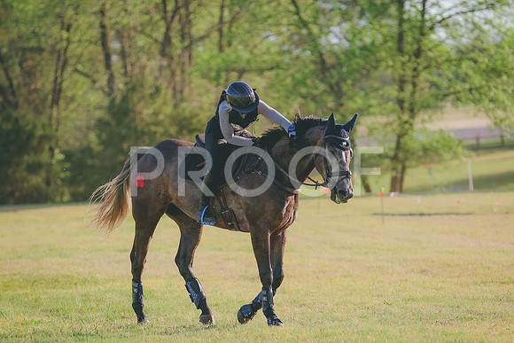 BYR_0252