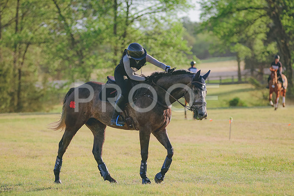 BYR_0270
