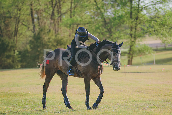 BYR_0256