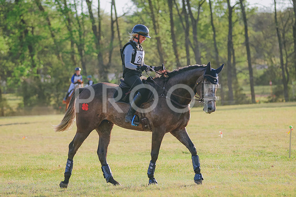 BYR_0298