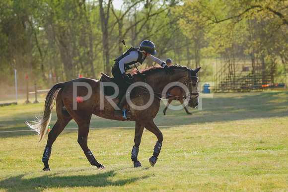 BYR_0343