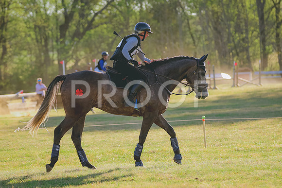 BYR_0316