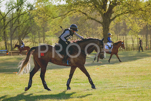 BYR_0354