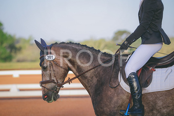 RWP_0082