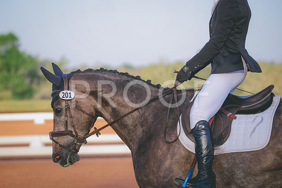 RWP_0083