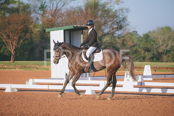 RWP_0103