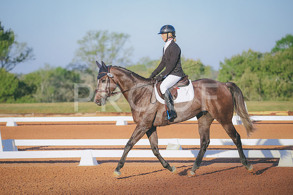 RWP_0110