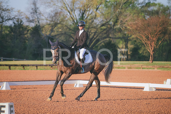 RWP_0106