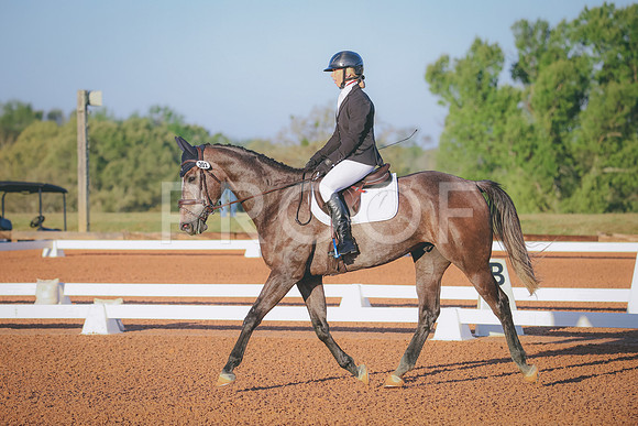 RWP_0113