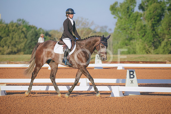 RWP_0134
