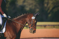 RWP_0272