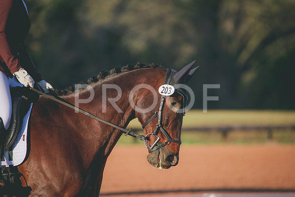 RWP_0272