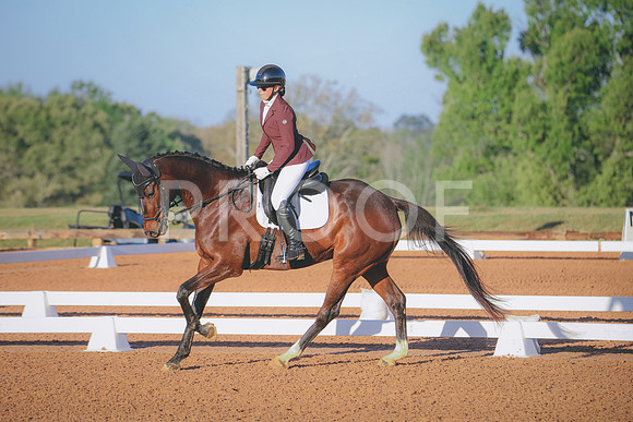 RWP_0281