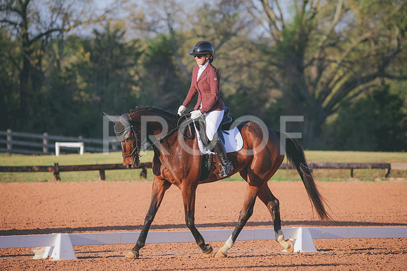 RWP_0277