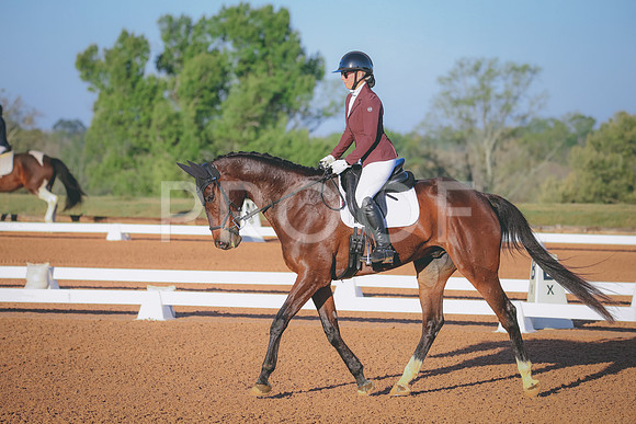 RWP_0294