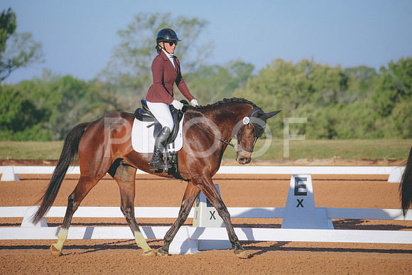 RWP_0301