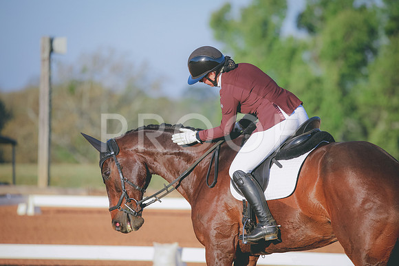 RWP_0321