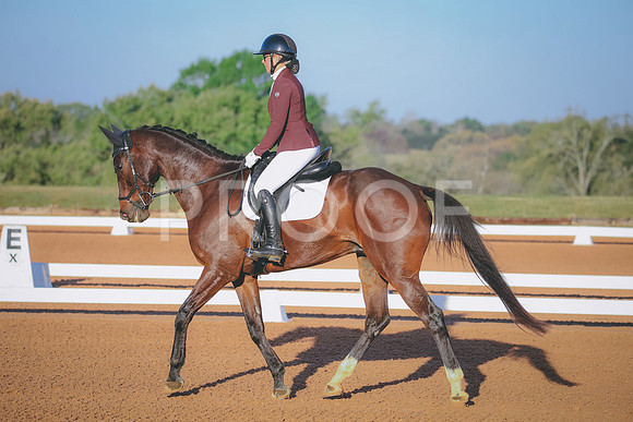 RWP_0315