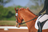 RWP_0328