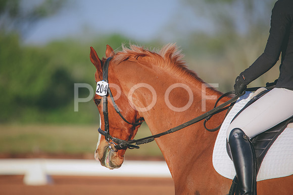RWP_0328