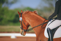 RWP_0329