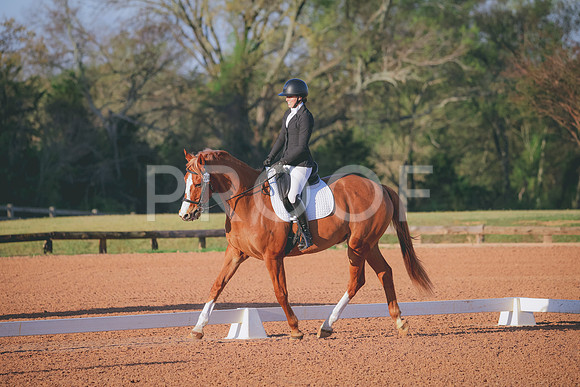 RWP_0334