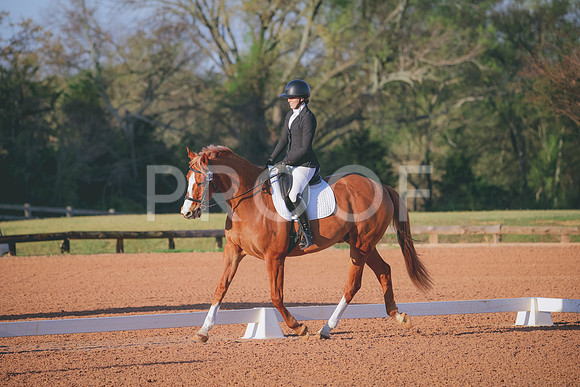 RWP_0335