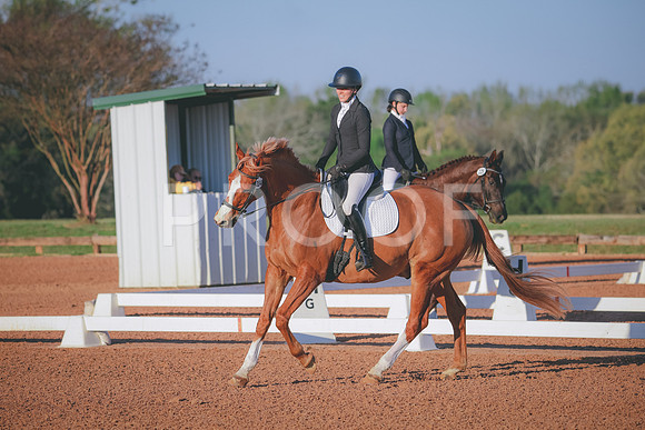 RWP_0346