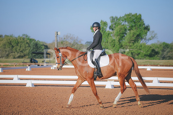 RWP_0356