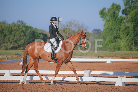 RWP_0362