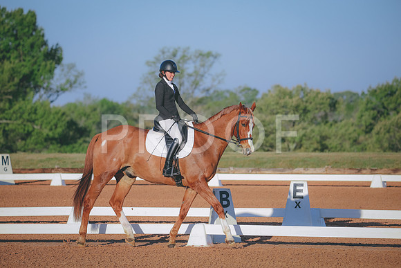 RWP_0365