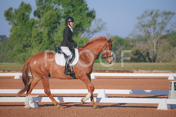 RWP_0369